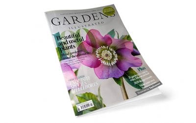 Garden Illustrated