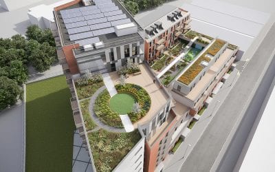 Why Consider a Roof Garden?