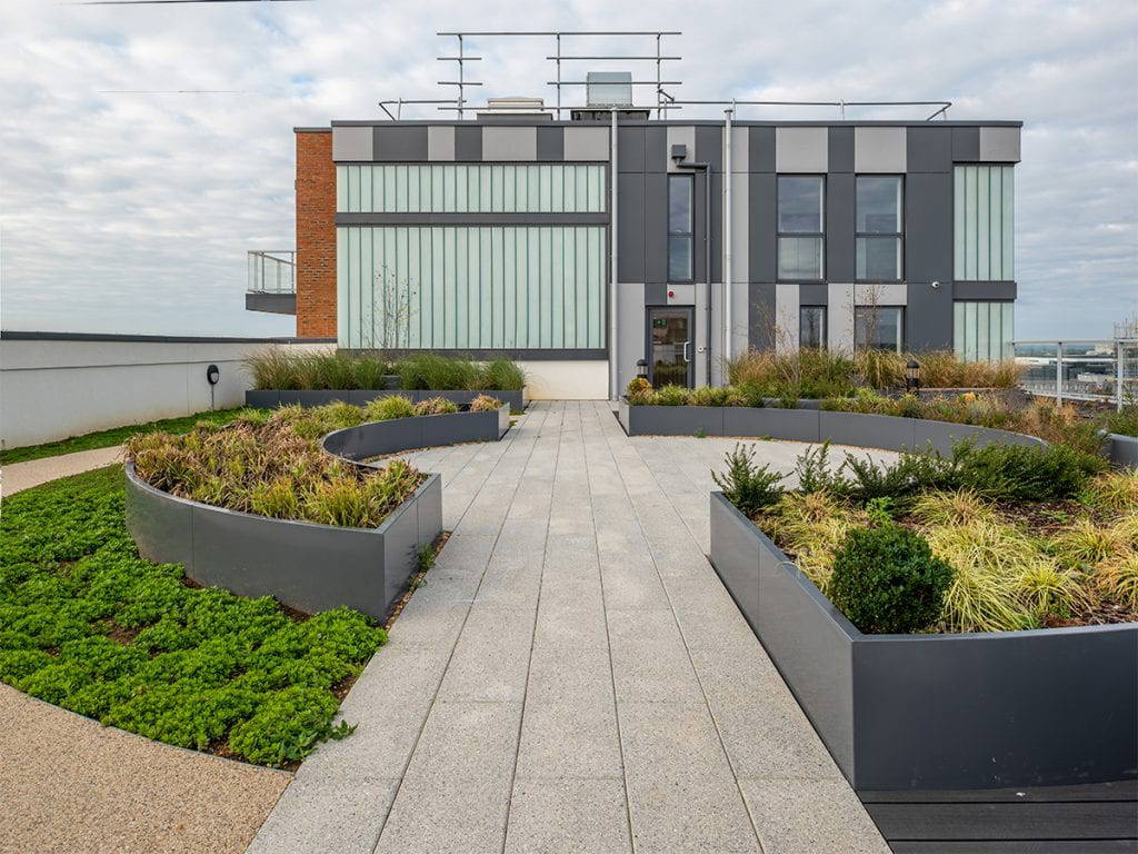 ninth storey roof garden with circular raised beds containing miscanthus and carex and wildflower turf