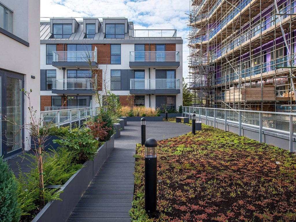 second floor roof garden with semi circle of sedum planting and a row of three circular raised planters for trees.