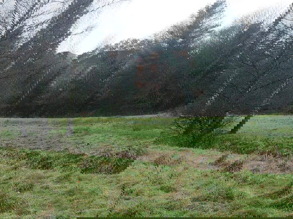 Wilmslow Park LVIA Natural Dimensions