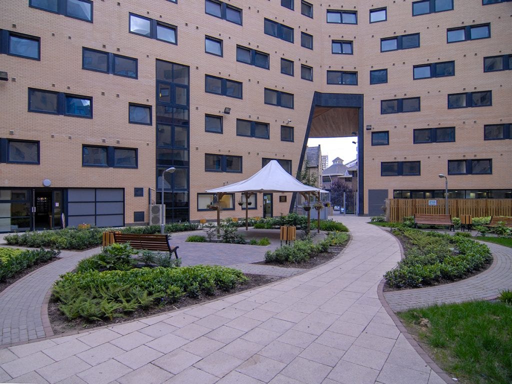 Marsden house view of spine with curved paving, meeting canopy and shade planting palette.