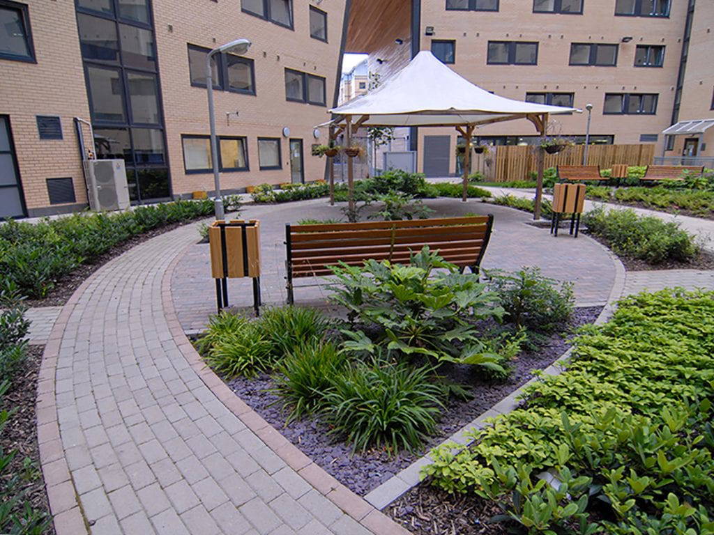 Marsden House view of spine with curved paving, meeting canopy and shade tolerant planting palette.