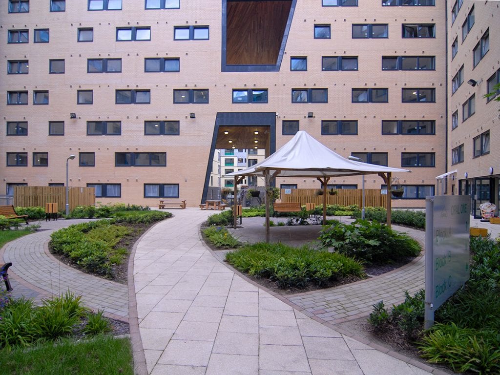 Marsden House view of spine with curved paving, meeting canopy and shade planting palette from pedestrian entrance.