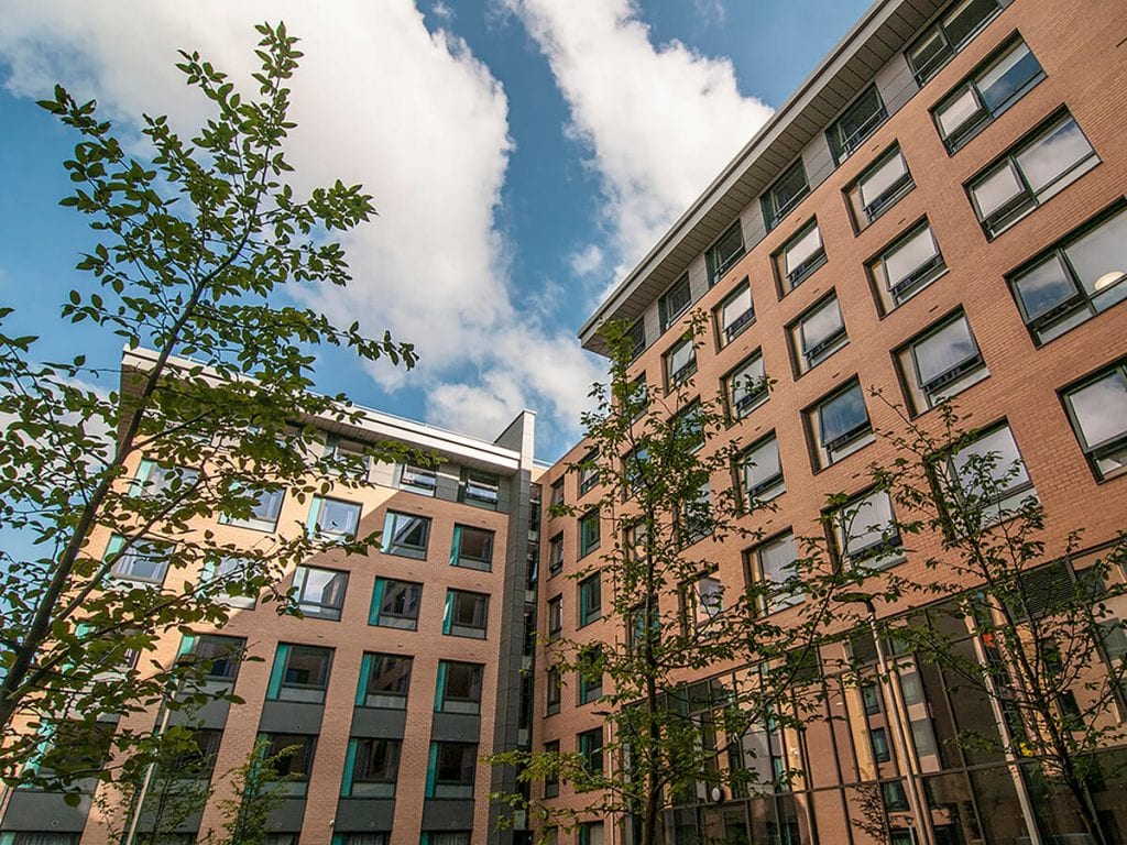 Natural Dimensions View of carpinus betlulus against Fountains Court Leeds Trinity University