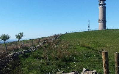 ‘REASSURINGLY ROBUST’  LANDSCAPE AND VISUAL IMPACT ASSESSMENT REPORT HELPS WIFI TELECOM MAST SECURE PLANNING PERMISSION