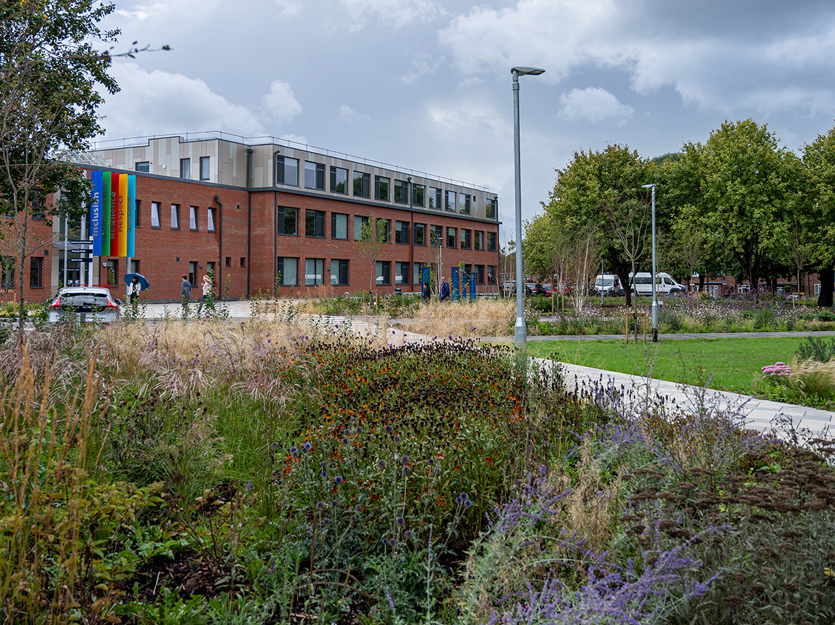 Merstham Park Secondary School prairie style naturalistic planting in autumn