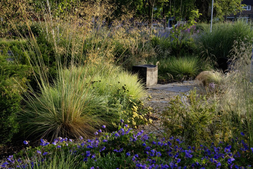 Martin Bear memorial garden