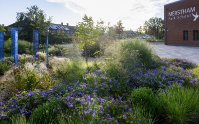 Professional Photography Now Online of the Ground Breaking Biophilic Merstham Park School