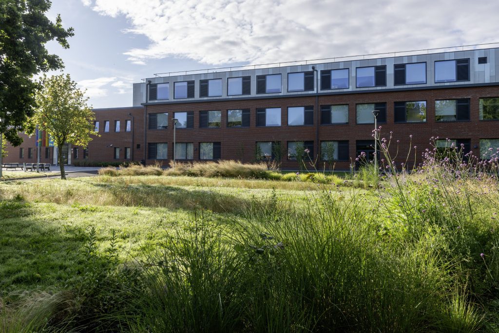 Merstham Park school frontage swales and wildflower bands