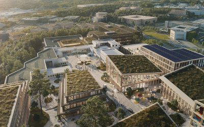 More Than Just Plants: What is Biophilic Design?