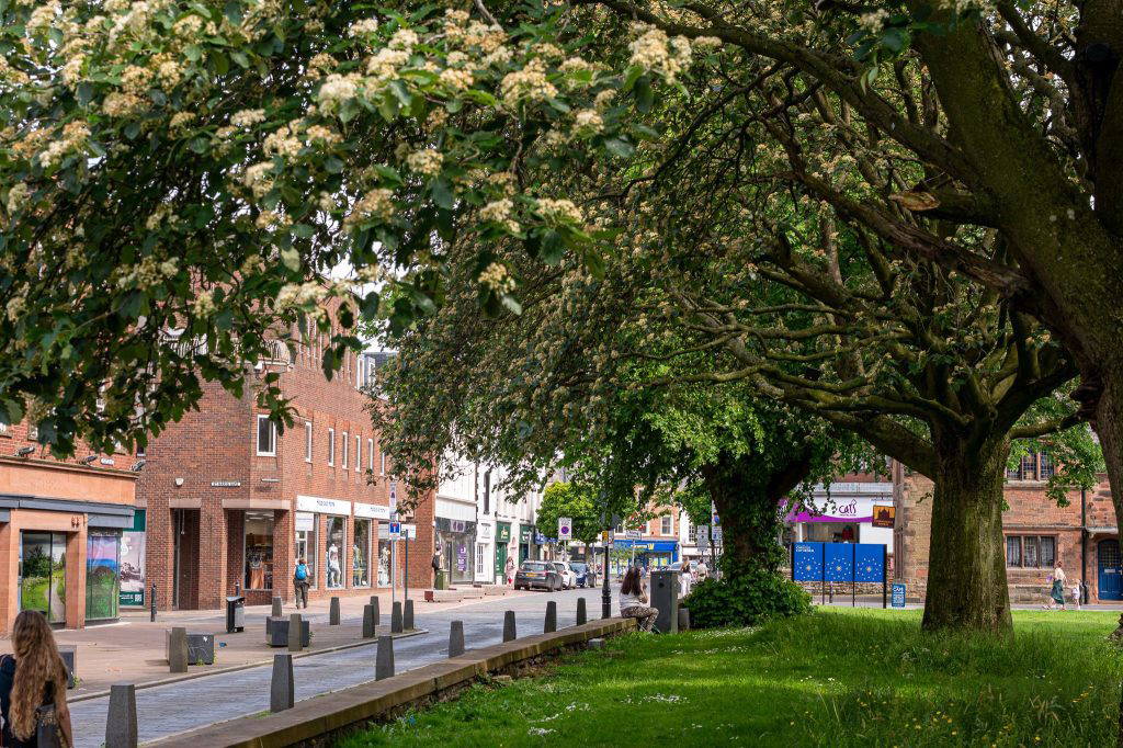 Carlisle Cathedral lawn and Castle Street