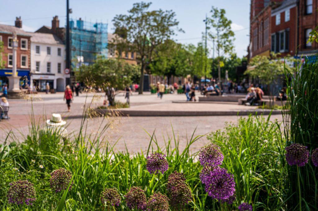 alliums in Carlisle Greenmarket planter