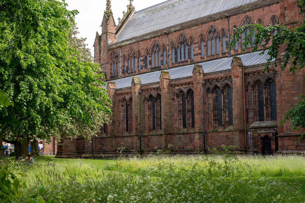 meadow grass and wildflowers in front of Carlisle Cathedral