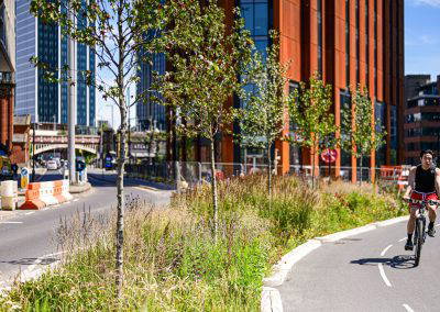 Deansgate Rain Gardens